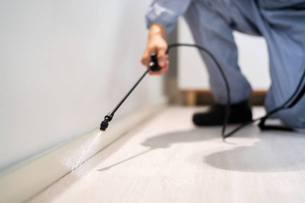 Licensed Pest Control service in Meadow Vista, CA - Show Me Pest Control