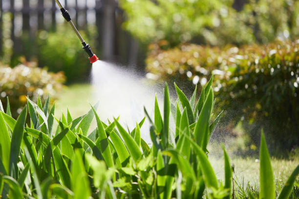 24/7 Emergency Mosquito Control experts in Meadow Vista, CA