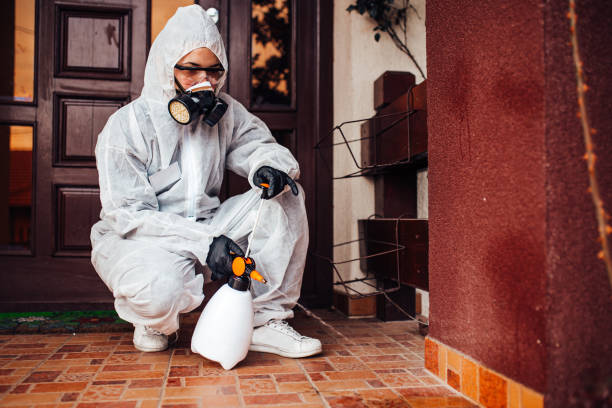 Reliable Mosquito Control contractor in Meadow Vista, CA by Show Me Pest Control